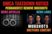 permanently remove mugshots articles cases news delete negative links in google
