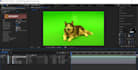 professional edition with green screen
