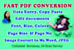 convert PDF to ms word document in 24hrs