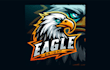 design a unique eagle head mascot logo with free source file