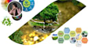 research and write on environmental science and climate change