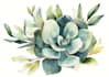 make botanical illustrations of flowers