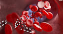 do professional 3d medical animation