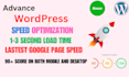 do wordpress speed optimization