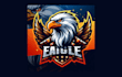 create a unique eagle head mascot logo with any file