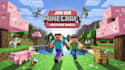 do a minecraft logo, banner with server promotion