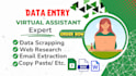 provide accurate data entry and online research services