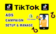 do your tiktok ads campaing manager