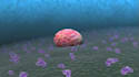 3d bio medical animation 3d medical explainer video 3d anatomy 3d surgery video
