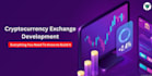 develop crypto exchange website, dex exchange, p2p, blockchain app