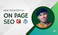do onpage and wordpress SEO website optimization for your website