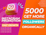 do organic instagram real followers
