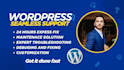 fix wordpress issues, errors, bugs, css, provide wp help troubleshooting