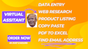 be your virtual assistant for data entry, web research in 3 hours