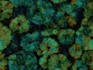 custom seamless fashion print patterns