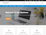 create a profile business website showcasing your  company