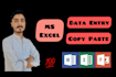 do expert level data entry and excel spreadsheet work