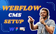 do cms setup, blog site design, webflow ecommerce design