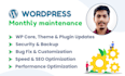 provide monthly wordpress website maintenance and optimization service