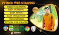 do python web scraping ,data scraping,data mining,web crawling,data extraction,