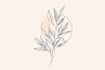 design a hand drawn feminine botanical boho logo