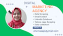 expert  lead generation ,scraping and campaigns