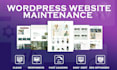 do monthly website maintenance