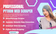 provide python web scraping and data extraction services