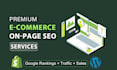 optimize website onpage SEO on shopify, wordpress, wix