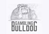 design awesome bulldog logo