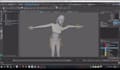 do 3d character rigging in cinema 4d , maya and blender