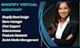shopify virtual assistant shopify manager store booster