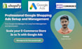 setup and optimize google shopping ads to increase revenue and roas