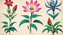 do botanical and anatomical scientific illustrations