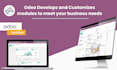 do odoo development, erp, odoo setup and customize modules in odoo