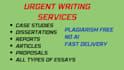 do essay writing, speech, argumentative, reflection, critical analysis