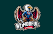do wonderful eagle mascot logo design service