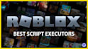 script for you in roblox