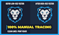manual and complex vector tracing for screen printing or laser cut