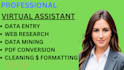 do web research, data entry and online research