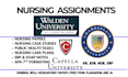 help with capella flexthpath nursing projects, walden and chamberlain