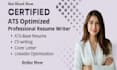 deliver a 24 hour professional resume writing service