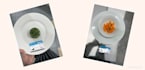 expert cookery assignment content writing guidance
