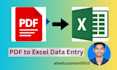 do convert files PDF to excel sheet data entry