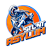 design awesome automotive logo