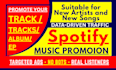 professional spotify music promotion