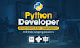 develop python bots, ai automations, and custom scripts