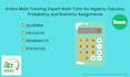 assist in algebra calculus probability online math tutoring expert math tutor