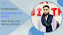 do assignments, typing, data entry, data clean, excel sheets, data analysis