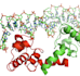 bioinformatics analysis and data visualization services